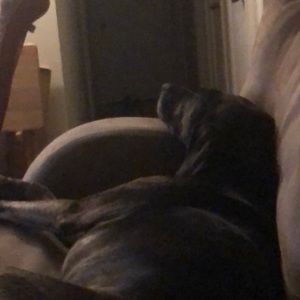 Meet your Posher, Cameron